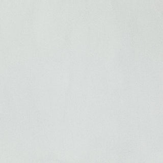 Pale Gray Transparent Frit (F1)